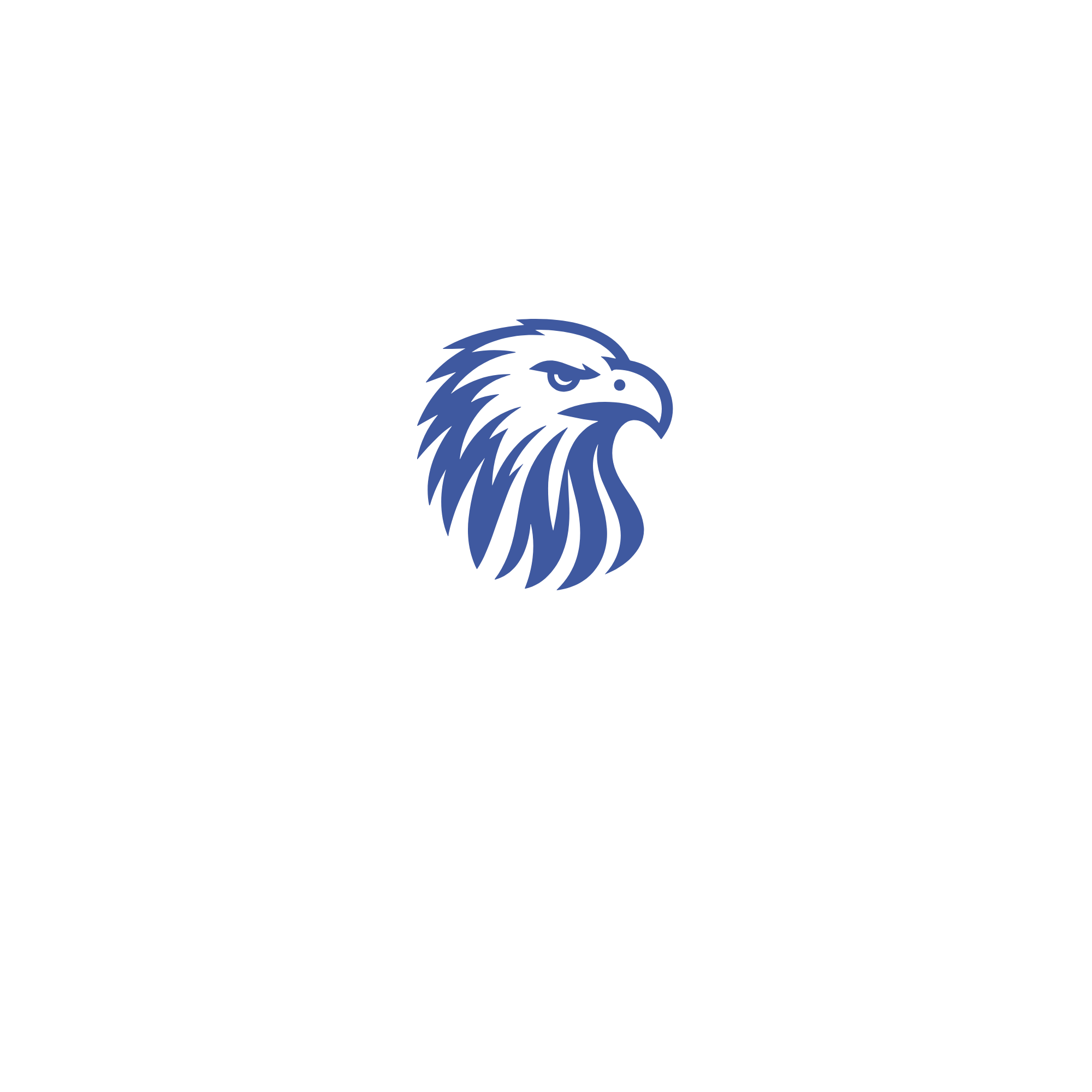 Insurnace Agent in Tomball TX | Insurance Partners